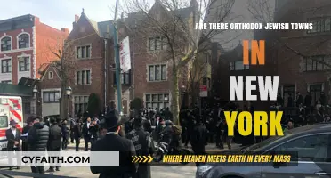 Exploring Orthodox Jewish Enclaves in New York: Towns and Communities