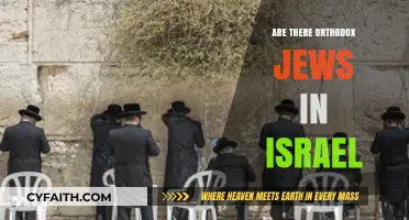 Exploring Israel's Diverse Jewish Communities: Are There Orthodox Jews?