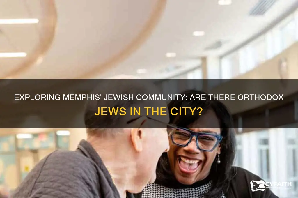 are there orthodox jews in memphis