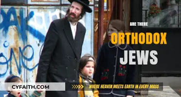 Exploring the Existence and Practices of Orthodox Jews Today