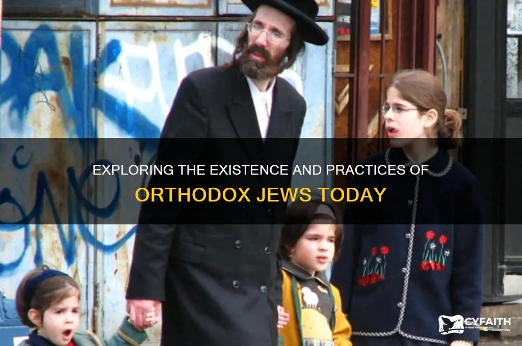 are there orthodox jews