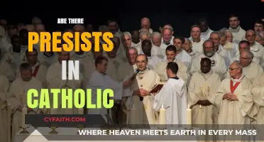Do Catholic Priests Persist in Scandal Amid Calls for Reform?