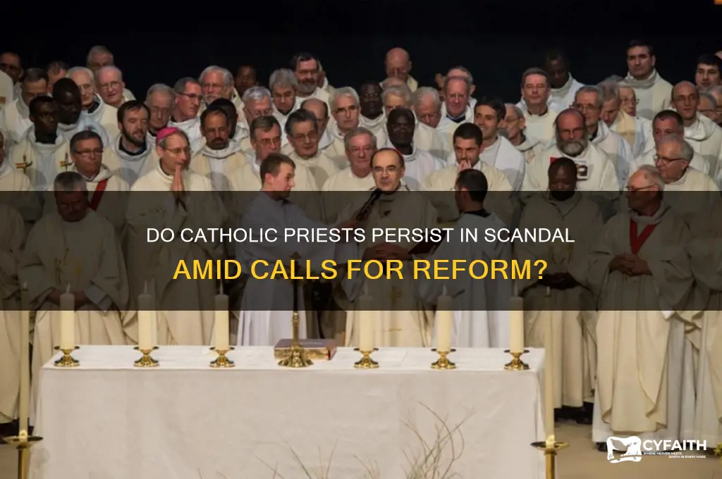 are there presists in catholic