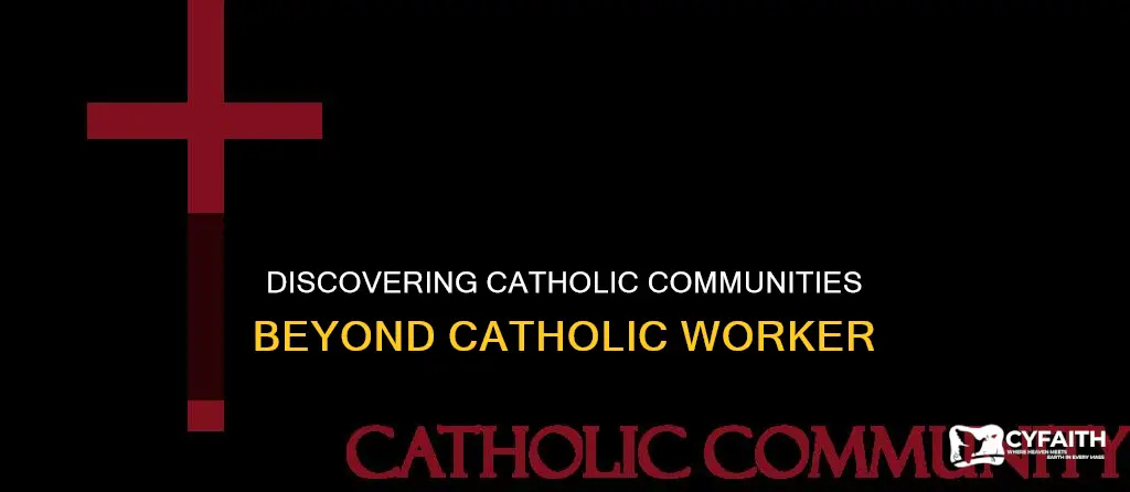 are there pther catholic communities like catholic worker