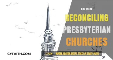 Exploring the Existence of Reconciling Presbyterian Churches Today