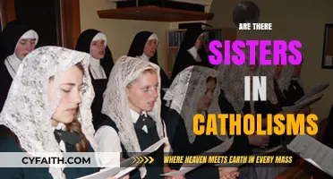 Exploring the Role of Sisters in Catholic Tradition and Modern Faith