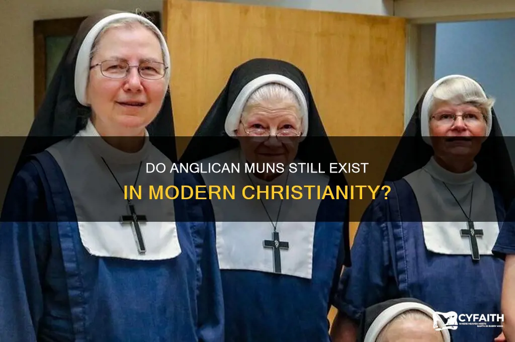 are there still anglican muns