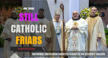 Are Catholic Friars Still Active Today? Exploring Their Modern Presence