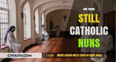 Are Catholic Nuns Still Relevant in Today's Modern World?