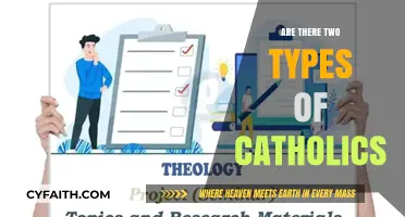 Catholics: Two Distinct Types or a Spectrum?