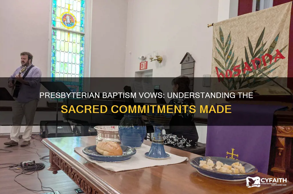 are there vows taken at presbyterian baptism