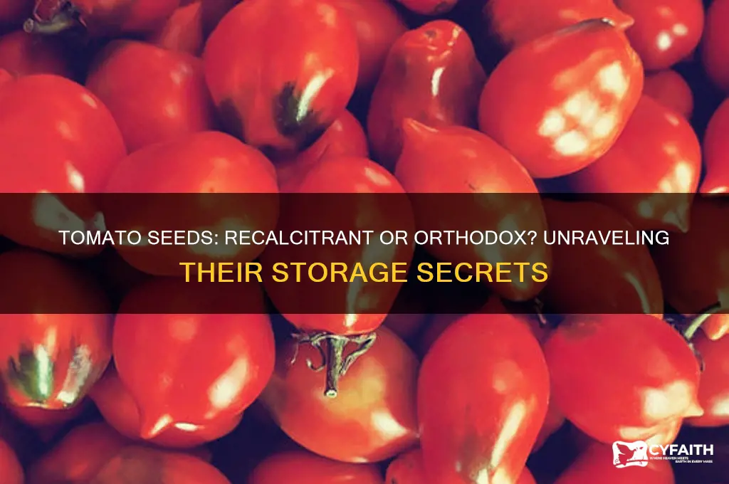 are tomatoe seeds recalcitrant or orthodox