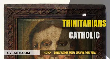 Are Trinitarians Catholic? Exploring the Theological Connection and Differences