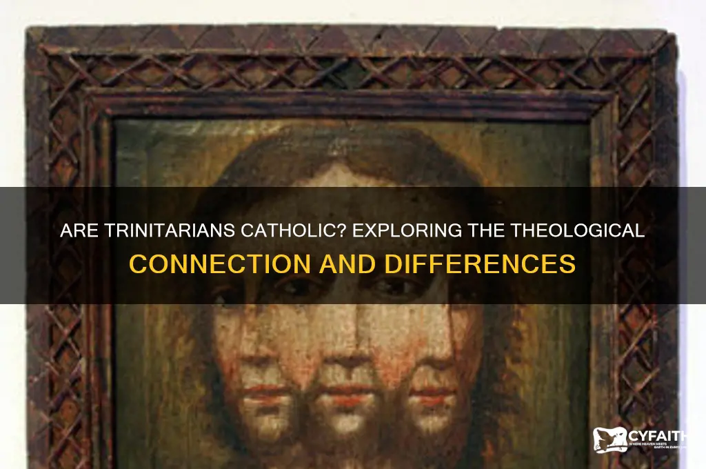 are trinitarians catholic