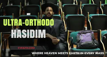 Understanding the Ultra-Orthodox Hasidim: Traditions, Lifestyle, and Modern Challenges