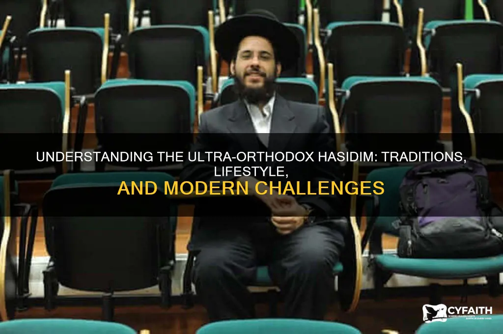 are ultra-orthodox hasidim