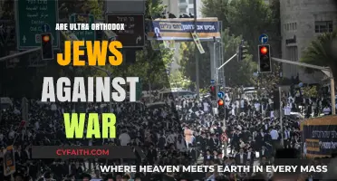 Ultra-Orthodox Jewish Stance on War: Pacifism, Neutrality, or Conditional Support?