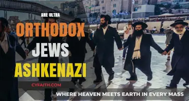Are Ultra-Orthodox Jews Primarily Ashkenazi? Exploring Cultural and Historical Roots