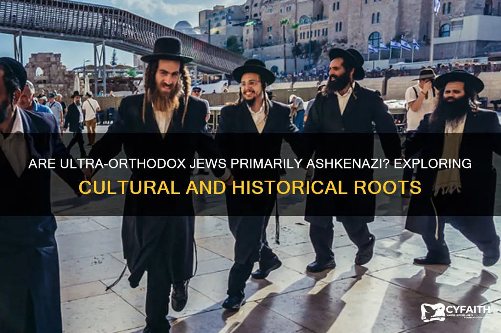 are ultra orthodox jews ashkenazi