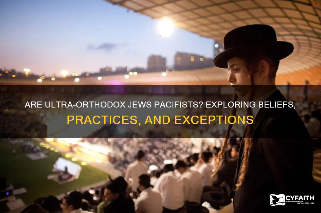 are ultra orthodox jews pacifists