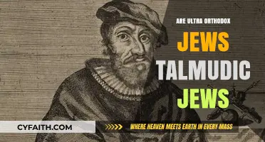 Ultra-Orthodox Jews and Talmudic Judaism: Understanding the Connection