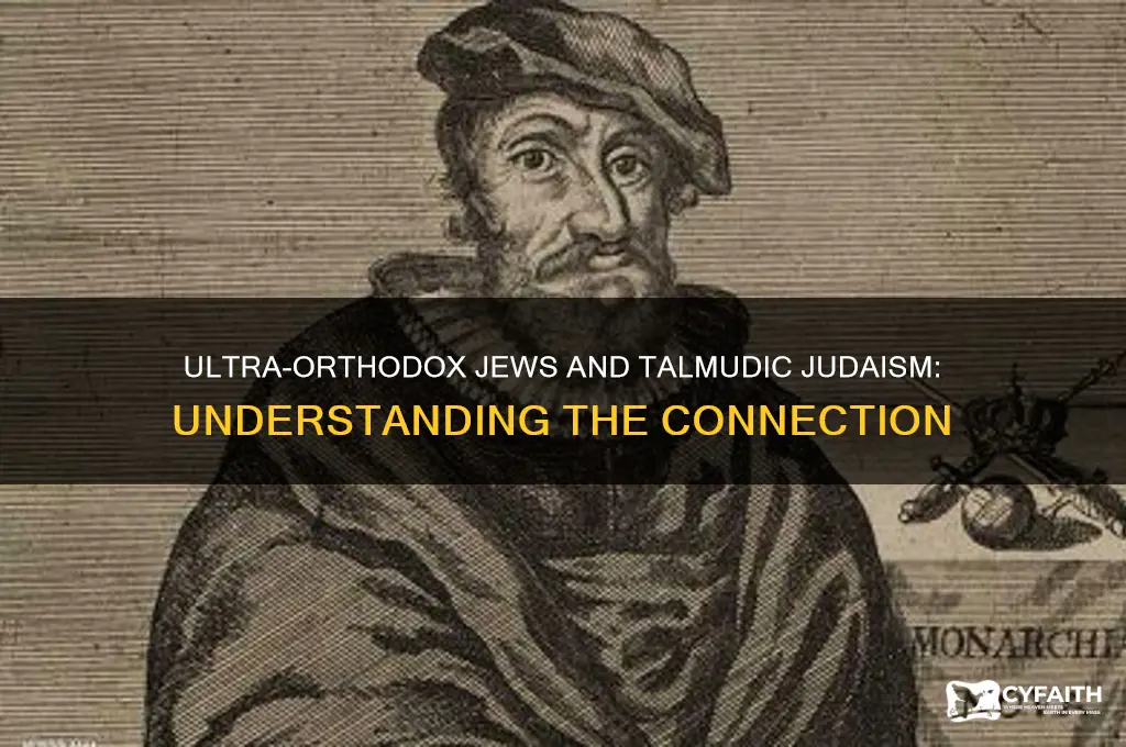 are ultra orthodox jews talmudic jews