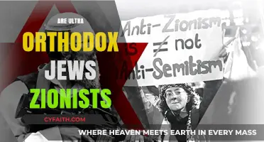 Ultra-Orthodox Jews and Zionism: Complex Beliefs, Divided Loyalties Explored