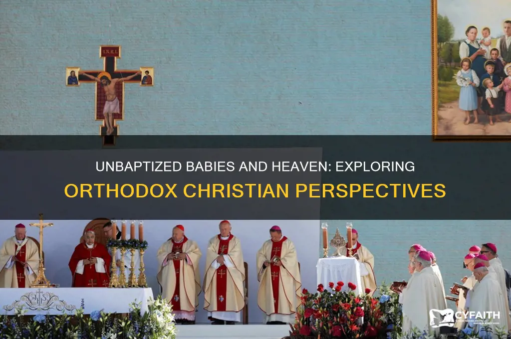 are unbaptized babies going to heaven orthodox