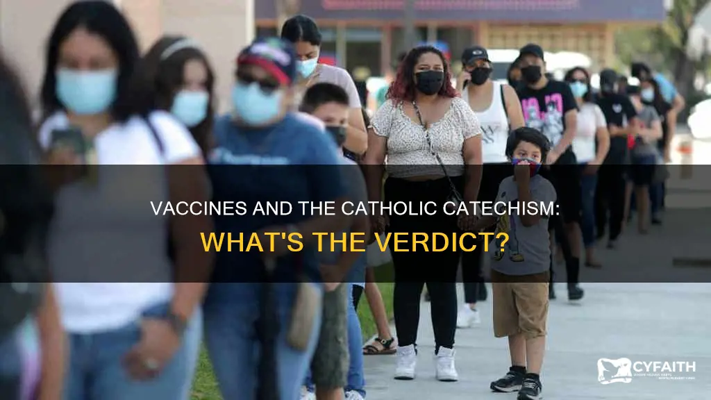 are vaccines in the catholic catechism