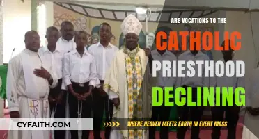 The Priesthood: A Declining Calling?