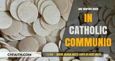 Catholic Communion: Wafer Usage Explained