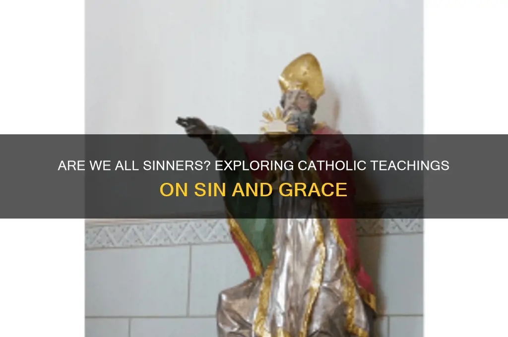 are we all sinners catholic