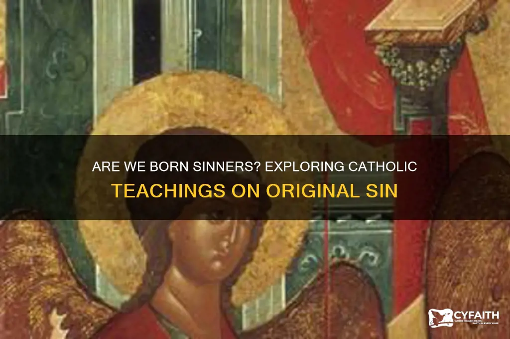 are we born sinners catholic