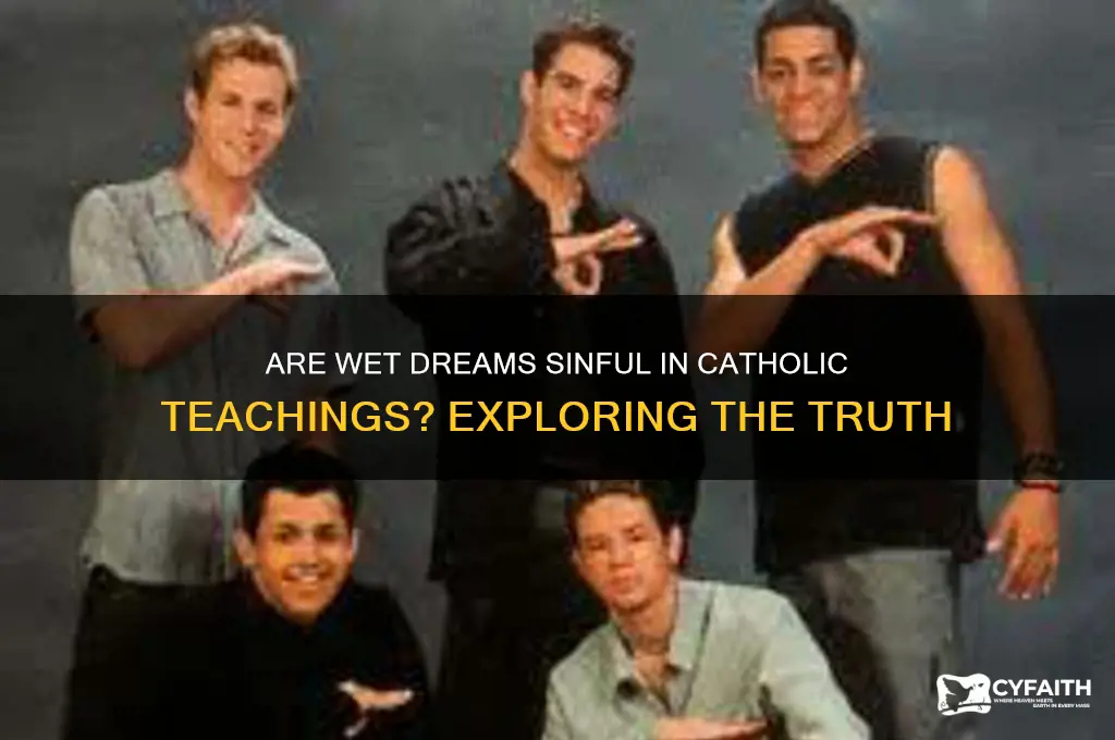 are wet dreams sinful catholic