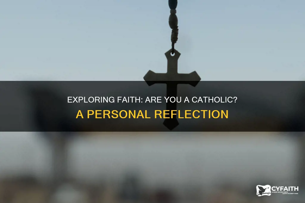 are you a catholic