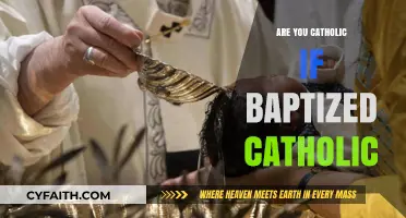 Baptism and Catholic Identity: What's the Link?