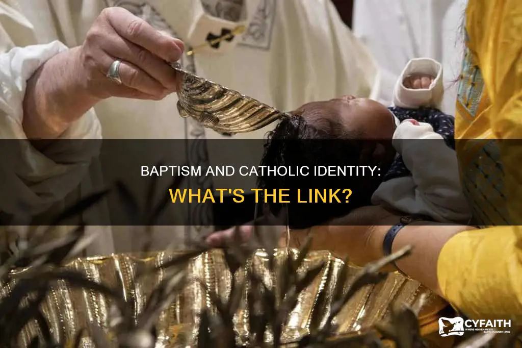 are you catholic if baptized catholic