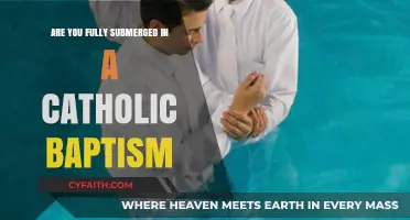 The Immersion of Catholic Baptism: Fully Submerged?