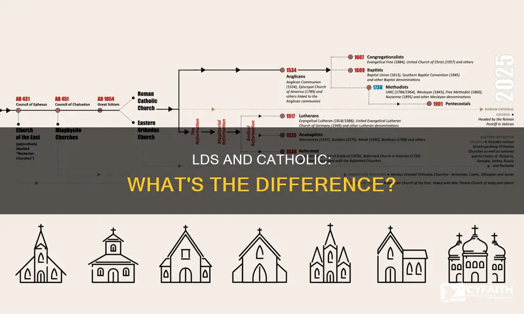 are you lds if you catholic