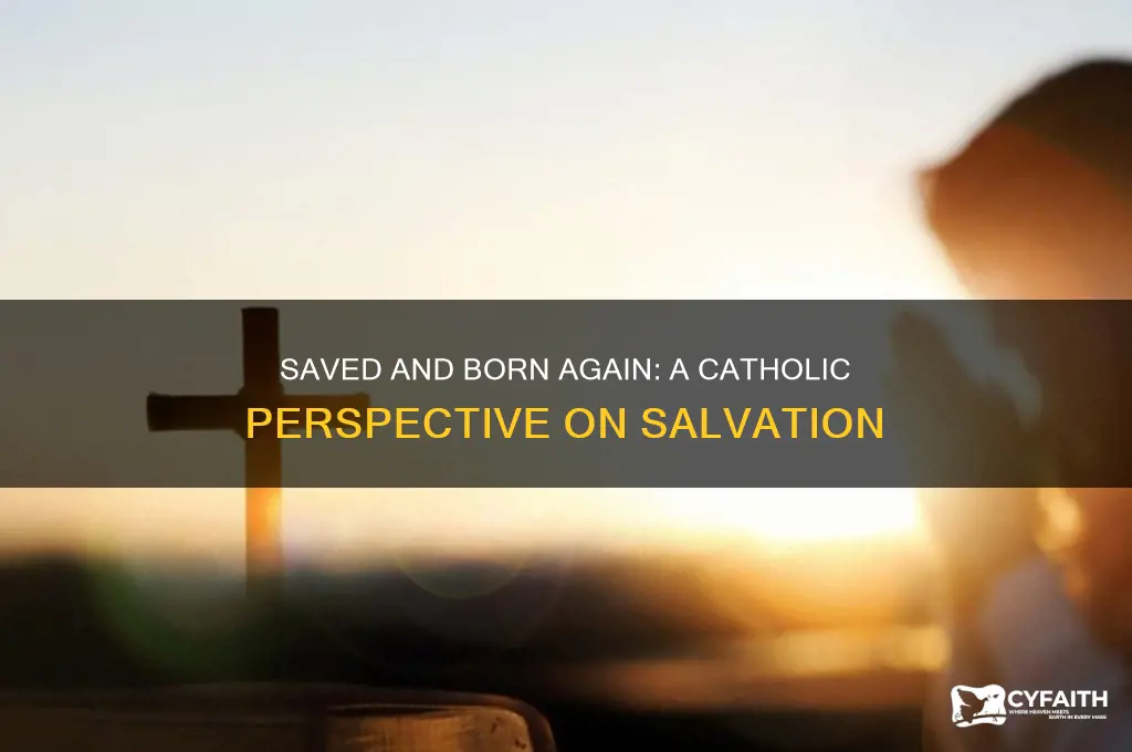 are you saved are you born again catholic response
