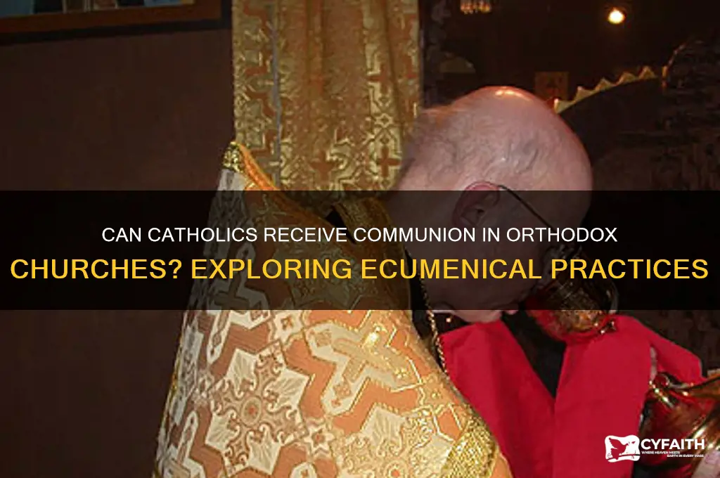 can a catholic receive communion at an orthodox church