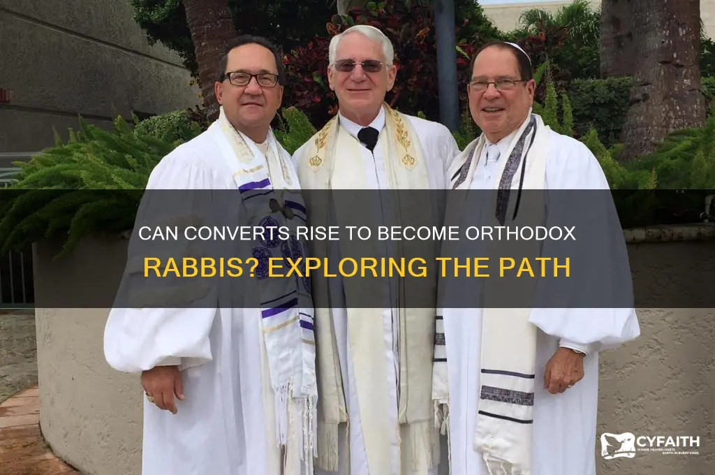 can a convert become an orthodox rabbi