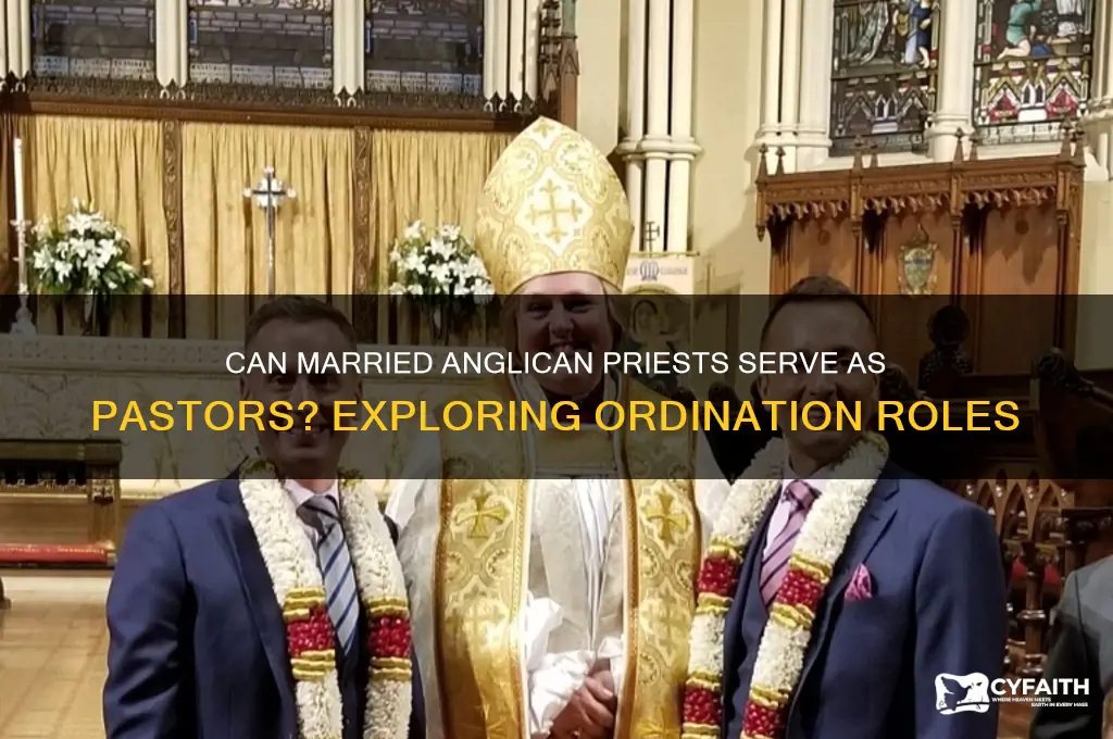 can a married anglican ordinate priest be a pastor
