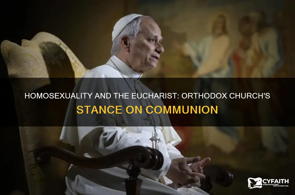 can a practicing homosexual receive eucharist in the orthodox church