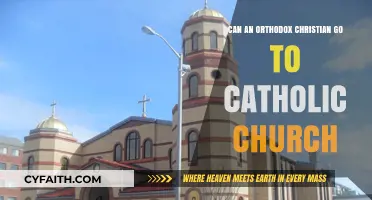 Orthodox Christians Attending Catholic Mass: Unity or Theological Divide?