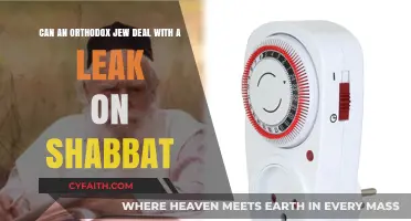 Shabbat Leak Dilemma: Orthodox Jewish Perspective on Emergency Repairs