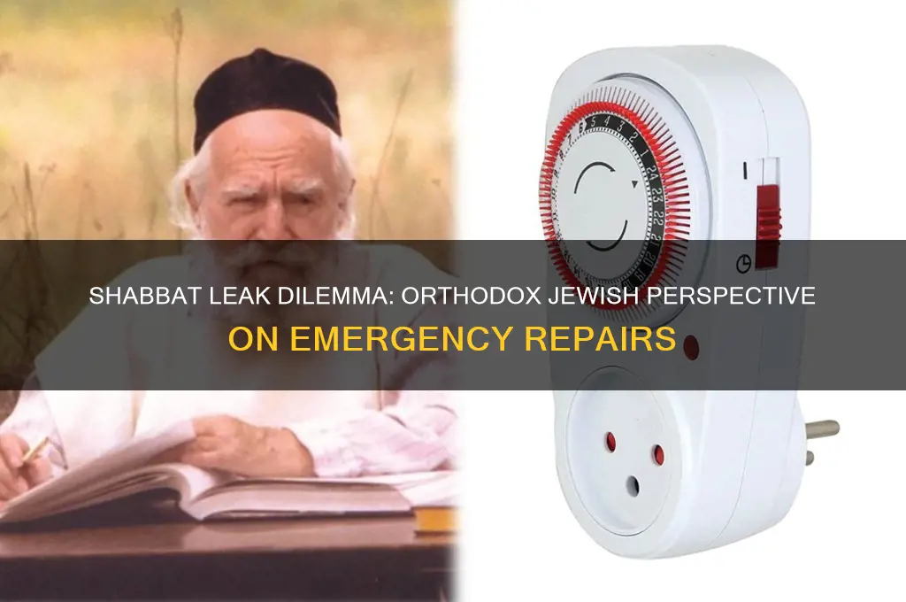 can an orthodox jew deal with a leak on shabbat