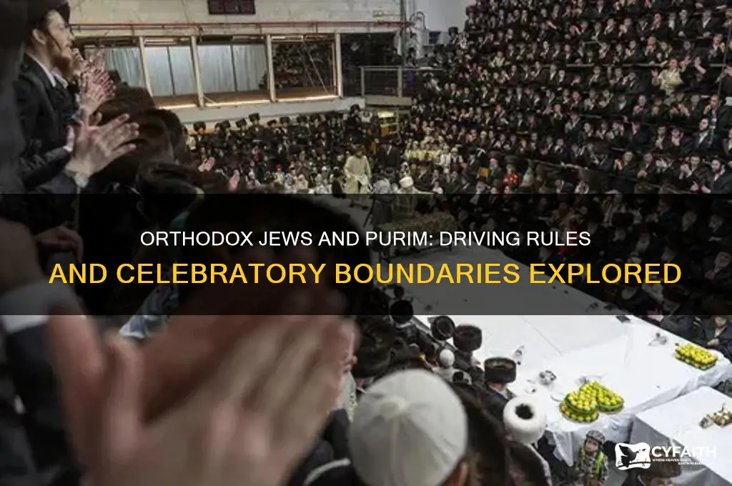 can an orthodox jew drive a car on purim