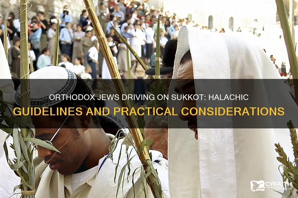 can an orthodox jew drive on succot