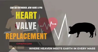 Orthodox Jewish Ethics and Pig Heart Valve Transplants: A Dilemma